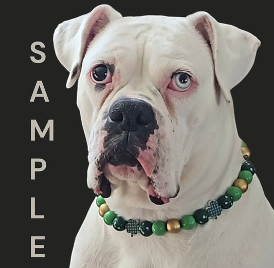 Pet Necklaces