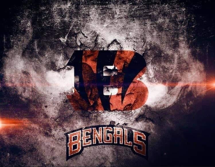 Cincinnati Bengals NFL Cups