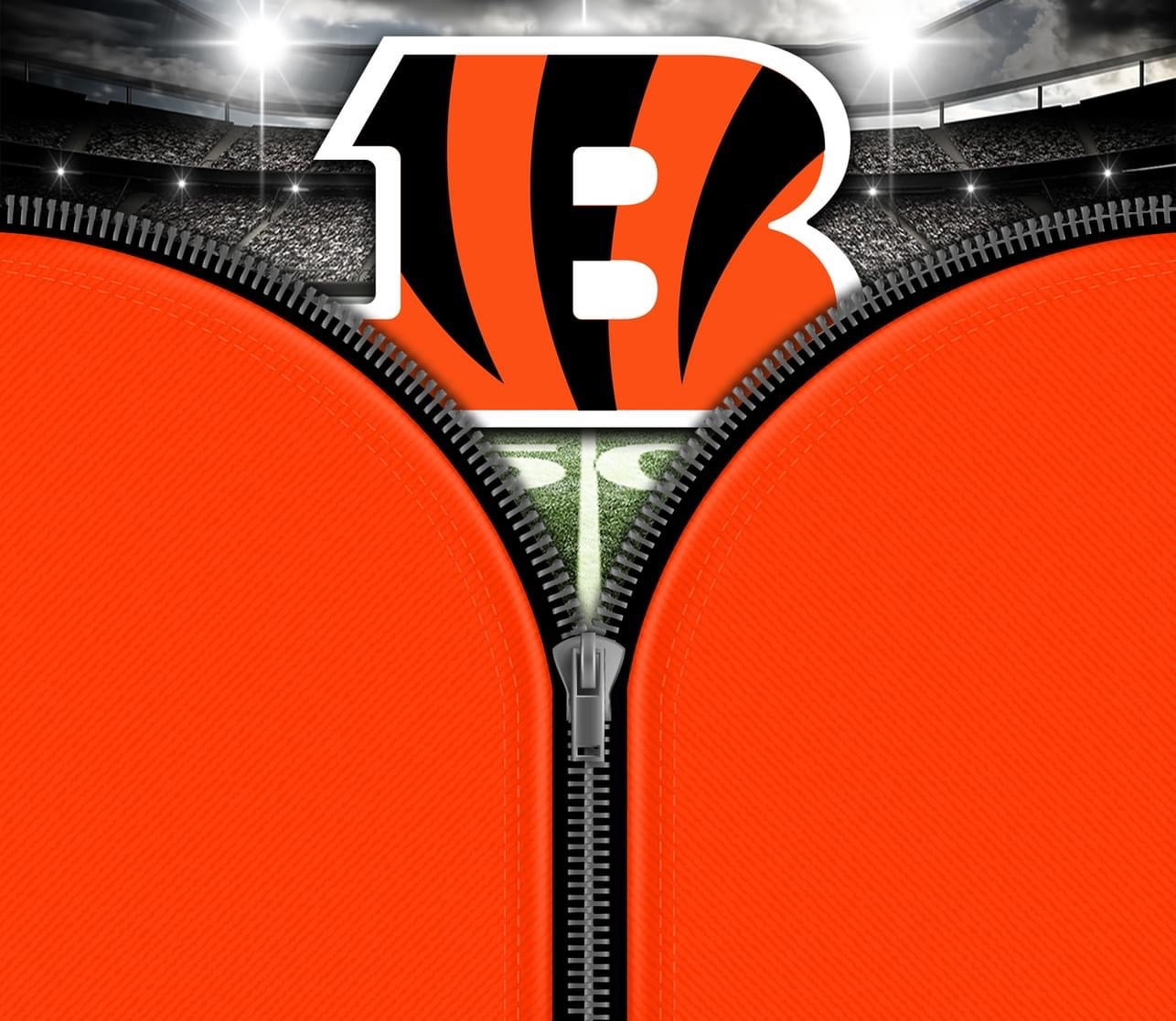 Cincinnati Bengals NFL Cups