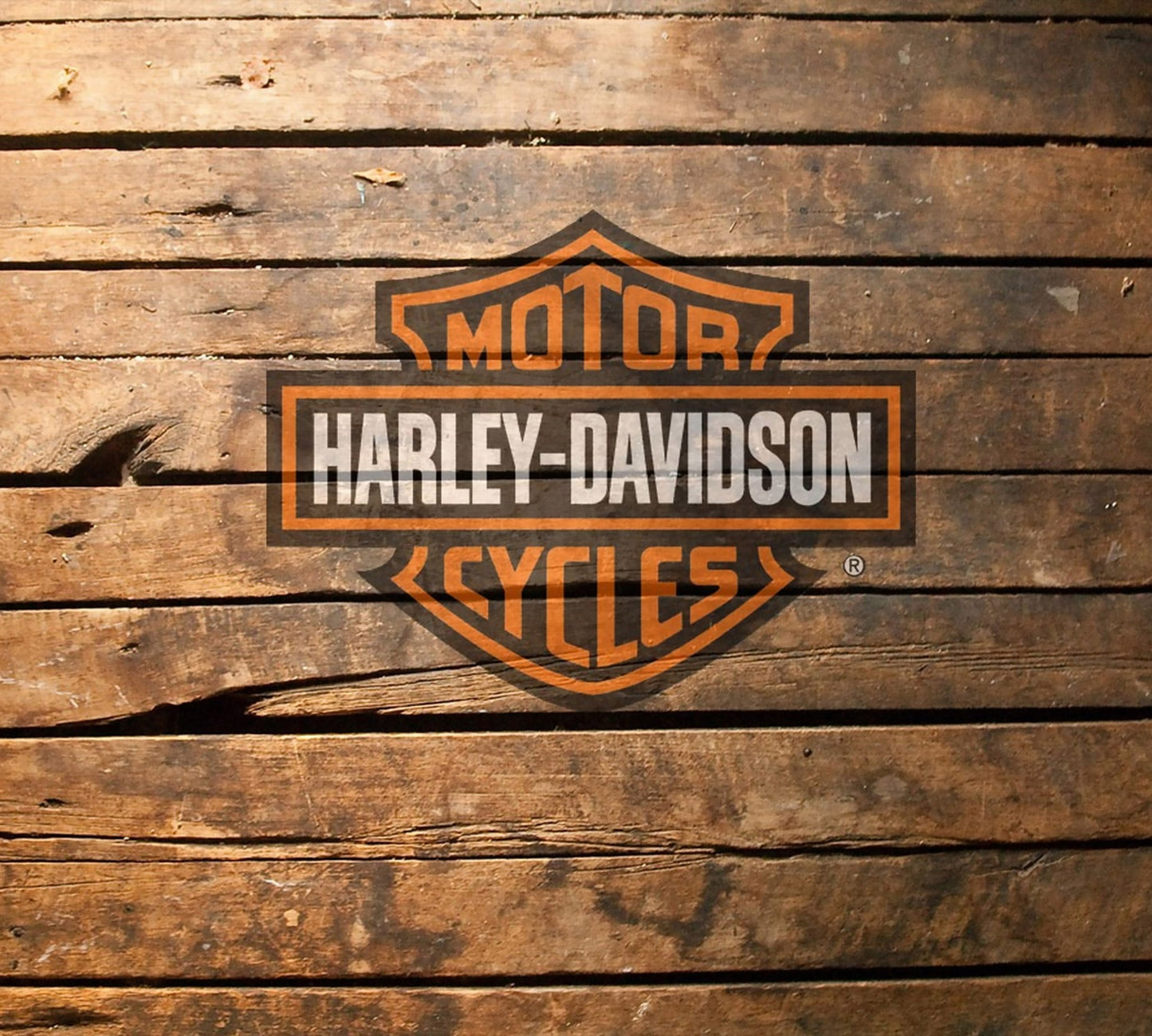 Harley/ Motorcyle Cups