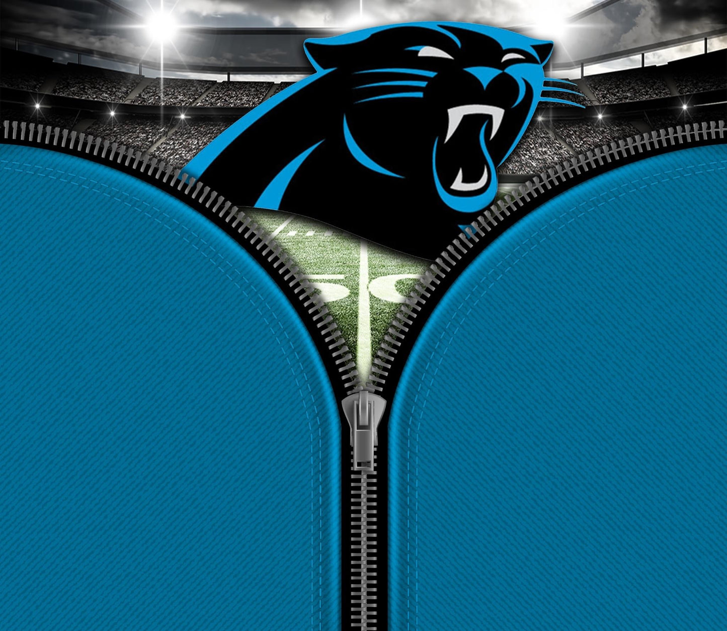 Carolina Panthers NFL Cups